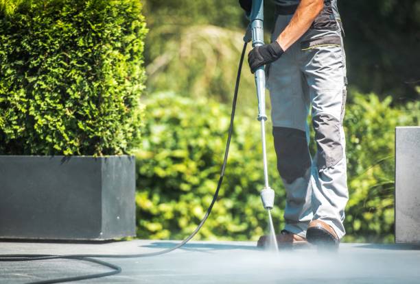 Best Roof Cleaning and Mildew Removal in Burton, MI