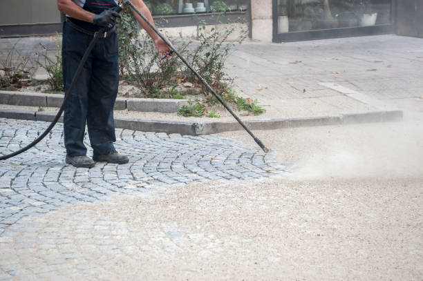 Best Driveway Cleaning and Restoration in Burton, MI
